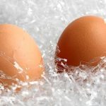 Nunca mantenga los huevos en el exterior. Refrigérelos. Sepa el motivo
